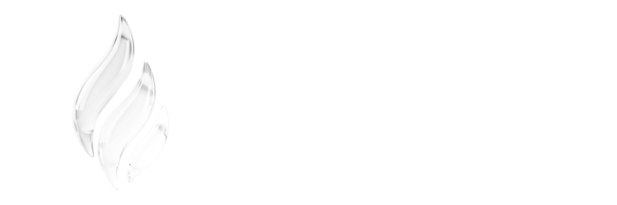 flamma-bg-2 (7)